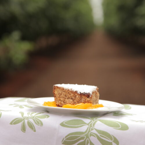 Spiced Orange and Olive Oil Dessert Cake with Botrytis Oranges