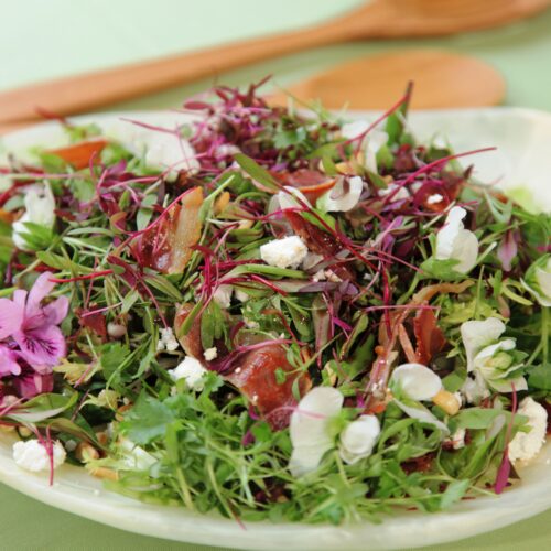 Salad with Pancetta, Goats Cheese and Pomegranate Molasses Dressing