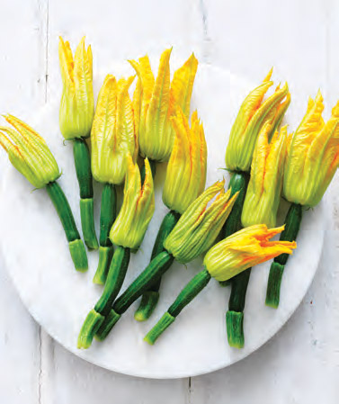 All About Zucchini Flowers